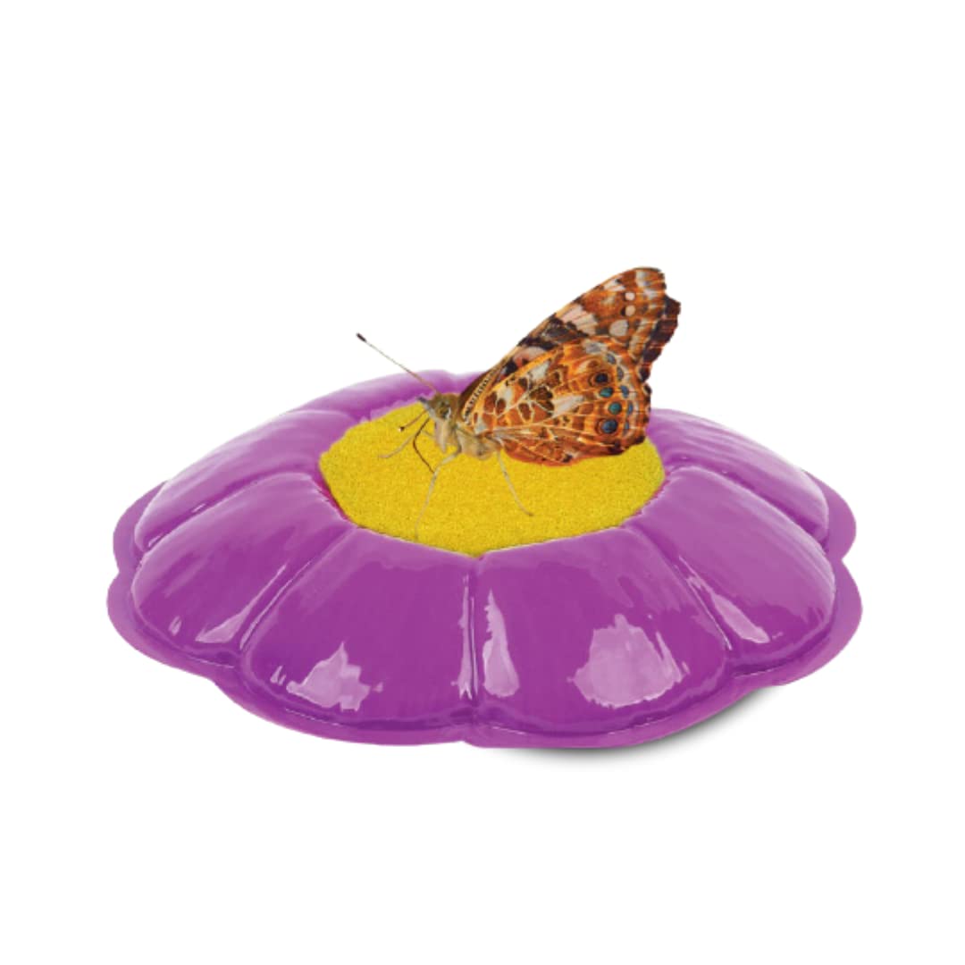 Insect Lore Cup Of Caterpillars Deluxe | 5 Live Baby Caterpillars | Stickers & Chrysalis Holding Log Included | Painted Lady Butterflies | Refill For Butterfly Garden