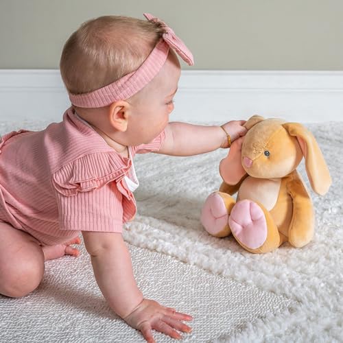 Mary Meyer Stuffed Animal Smootheez Pillow-Soft Toy, 12-Inch Tan Bunny, Soft Polyester, Model 68192
