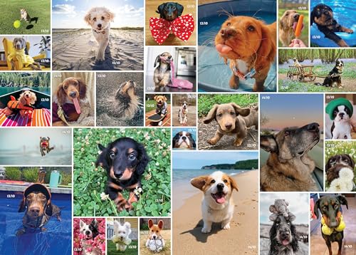 Andrews McMeel Publishing 1000 Piece Jigsaw Puzzle - WeRateDogs - 26 x 19 inches - Fun for All Ages