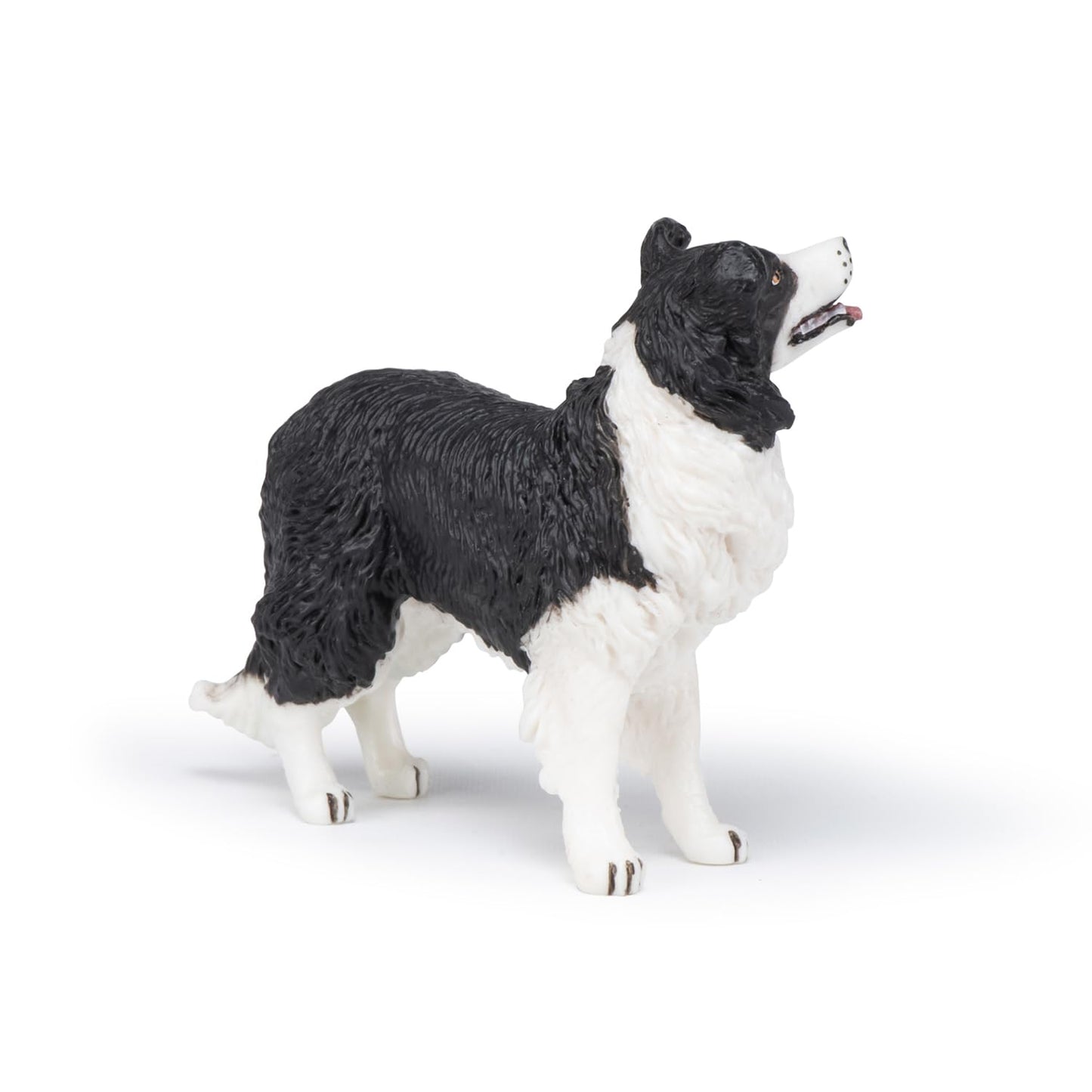 Papo - Border Collie - Realistic Figurine - For Ages 3+ - Dogs And Cats Collection - Hand Painted - Highly Detailed - Durable And Educational - Gift Idea - Collectable - Border Collie Toy