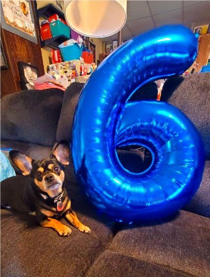 Navy Blue Jumbo Number 6 Balloon 40 Inch, Boy Girl 6Th Birthday Supplies, Foil Helium 6 16 26 46 66 Birthday Giant Balloon, Myla