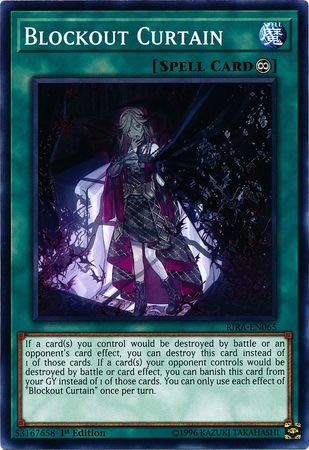 Yu-Gi-Oh! - Blockout Curtain - Rira-En065 - Common - 1St Edition - Rising Rampage