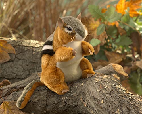 Folkmanis Chipmunk Hand Puppet, Brown