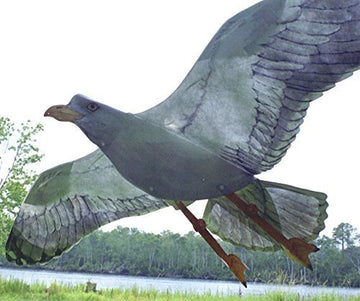 Jackite Sea Gull Kite, 42.5' Wingspan