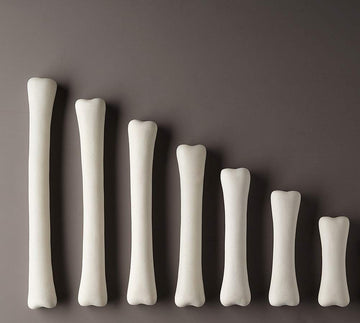 Dinosaur Bones Match & Measure Set