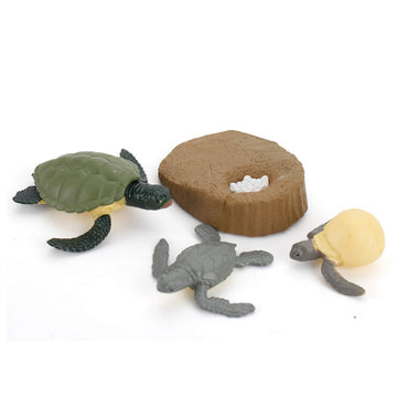 4 Pcs Sea Turtle Ocean Marine Animal Growth Life Cycle Model Figure Classroom Accessories Party Supplies Cake Toppers Learning C