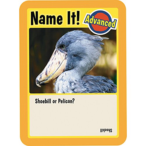 Mindware Animal Trivia Challenge Game