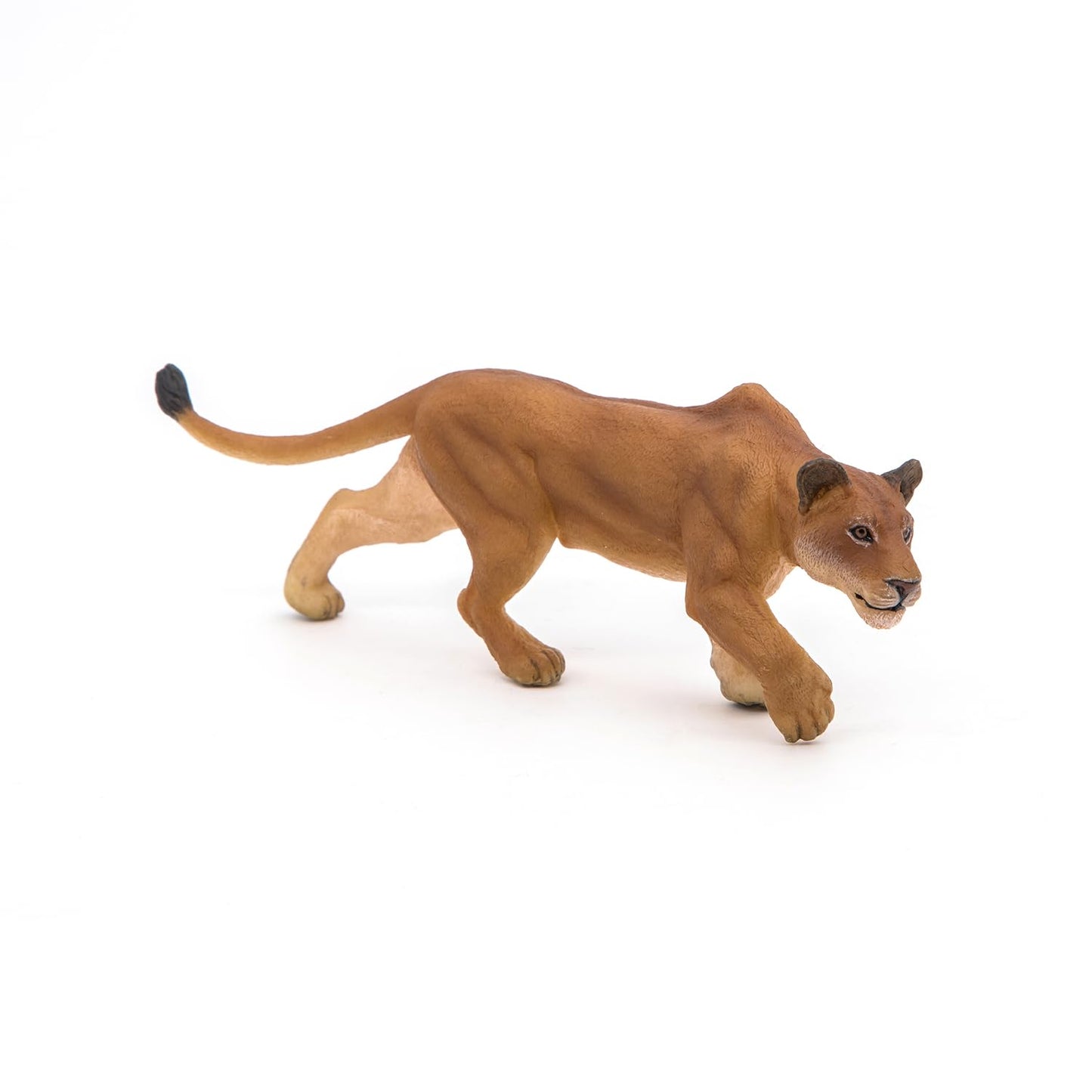 Papo -Hand-Painted - Figurine -Wild Animal Kingdom - Lioness Chasing -50251 -Collectible - For Children - Suitable For Boys And Girls- From 3 Years Old