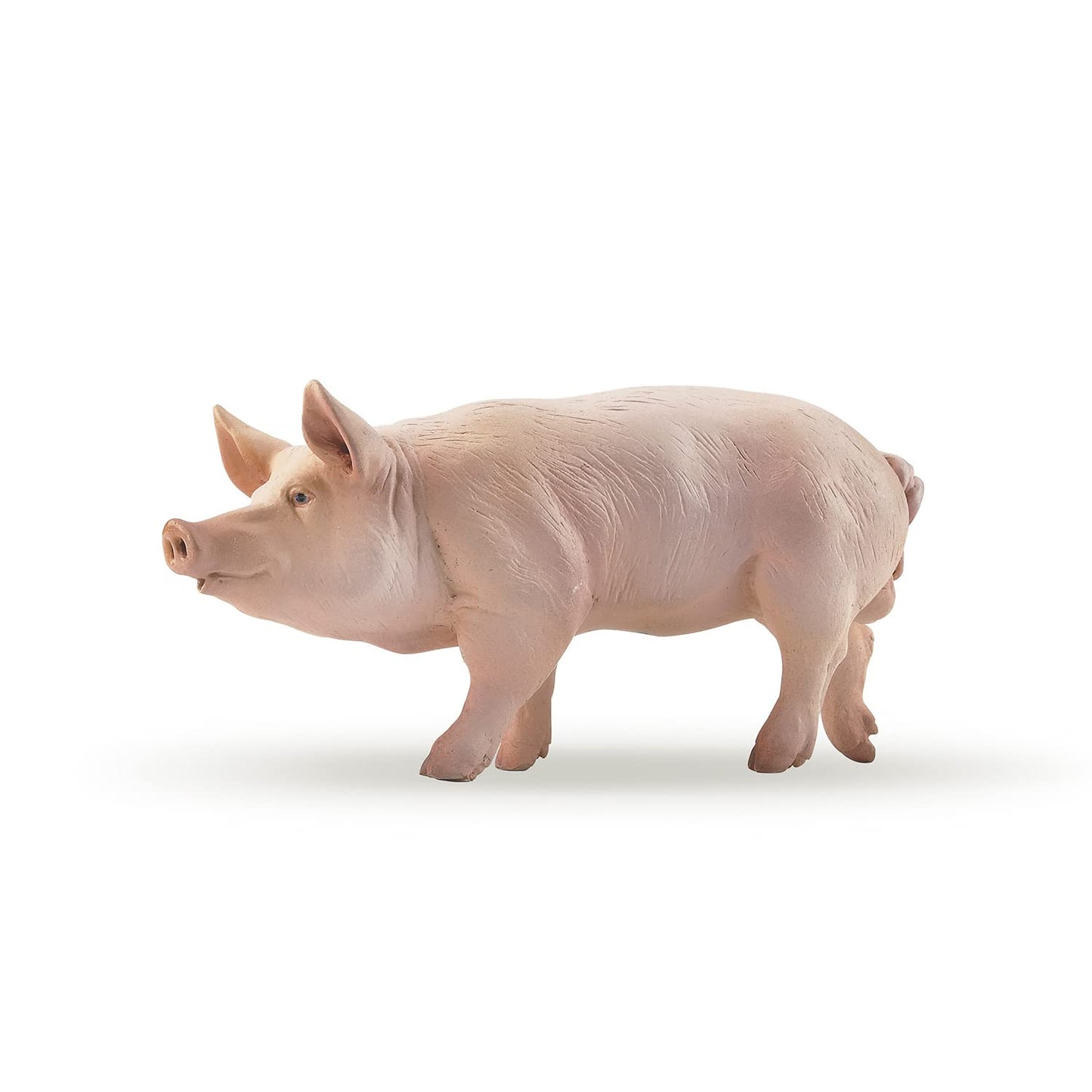 Papo -Hand-Painted - Figurine -Farmyard Friends -Boar -51044 - Collectible - For Children - Suitable For Boys And Girls - From 3 Years Old