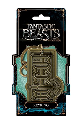 Fantastic Beast Accio Pewter Key Ring