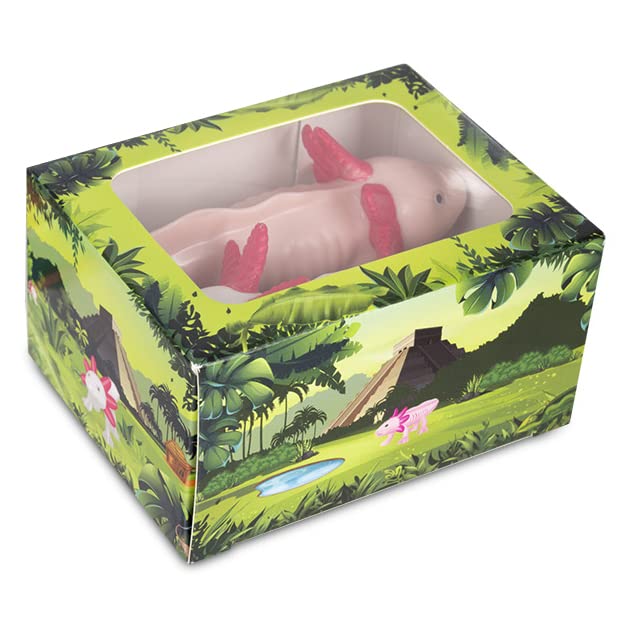 Accoutrements Archie Mcphee Box Of Axolotls Family Of Four