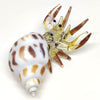 Sansukjai Seashell Hermit Crab Miniature Figurines Beach Animals Hand Blown Glass Art Natural Collectible Gift Decorate, Pastel Yellow