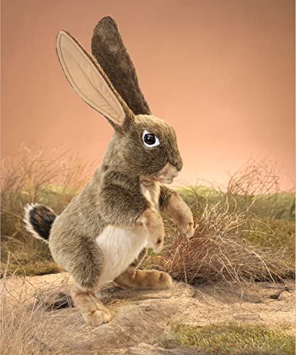 Folkmanis Jack Rabbit Hand Puppet