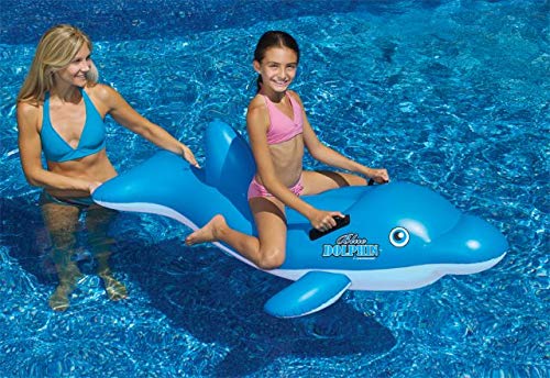 Swimline Dolphin Stable Pool Float