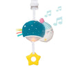 Taf Toys Musical Mini Moon Infant Toy - Pull Down Music & Lights, Teal, 1 Count, Model TAF12585, Perfect for Travel & Soothing Babies