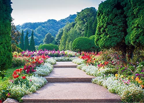 Puzelworx 1000 Piece Jigsaw Puzzle Educational Puzzle Family Game Gift For Adults And Kids (Garden Path)