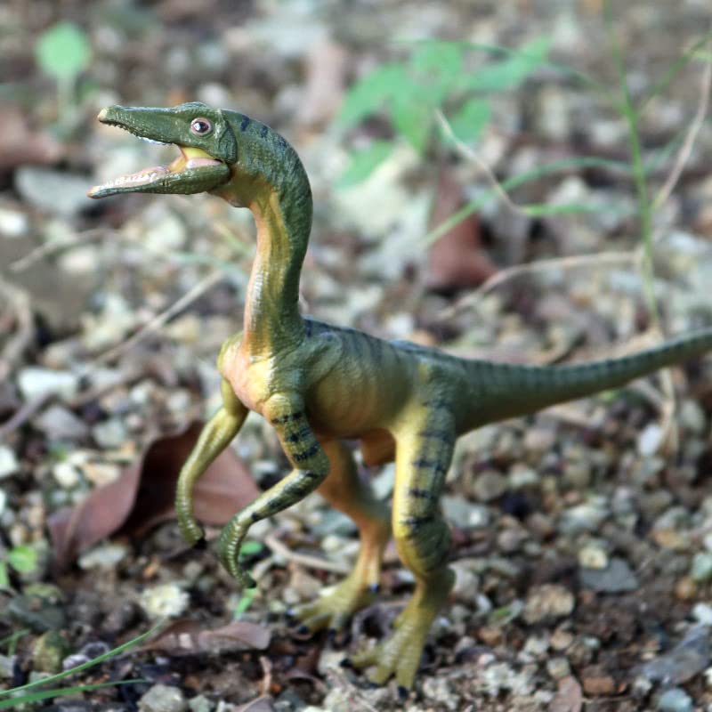 Gemini&Genius Compsognathus Dinosaur Toy For Kids, Realistic Dinosaur Action Figure Toy With Moveable Jaw, Cake Topper, Gift Or Display For Kids