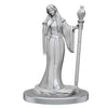 Critical Role Unpainted Miniatures: Human Wizard Female & Halfling Holy Warrior Female