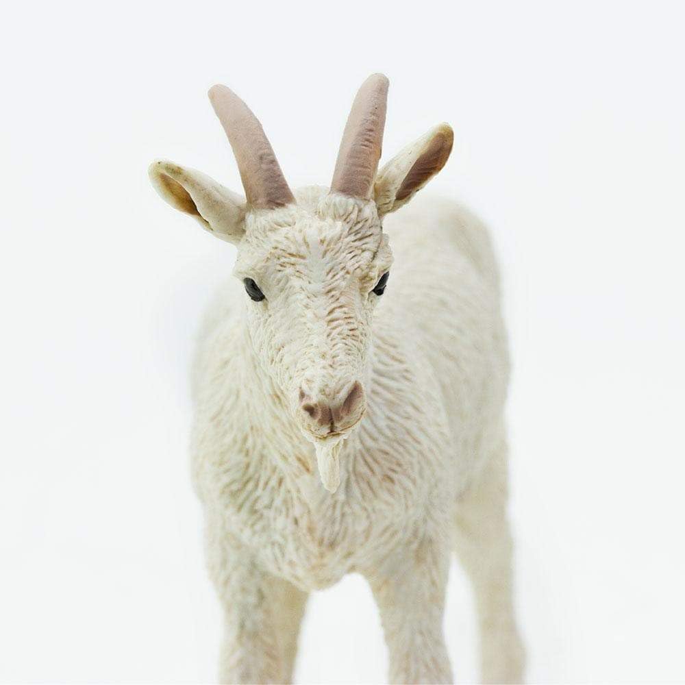 Safari Ltd. Nanny Goat Figurine - Lifelike 3.25" Plastic Model - Educational Toy for Kids - White Color