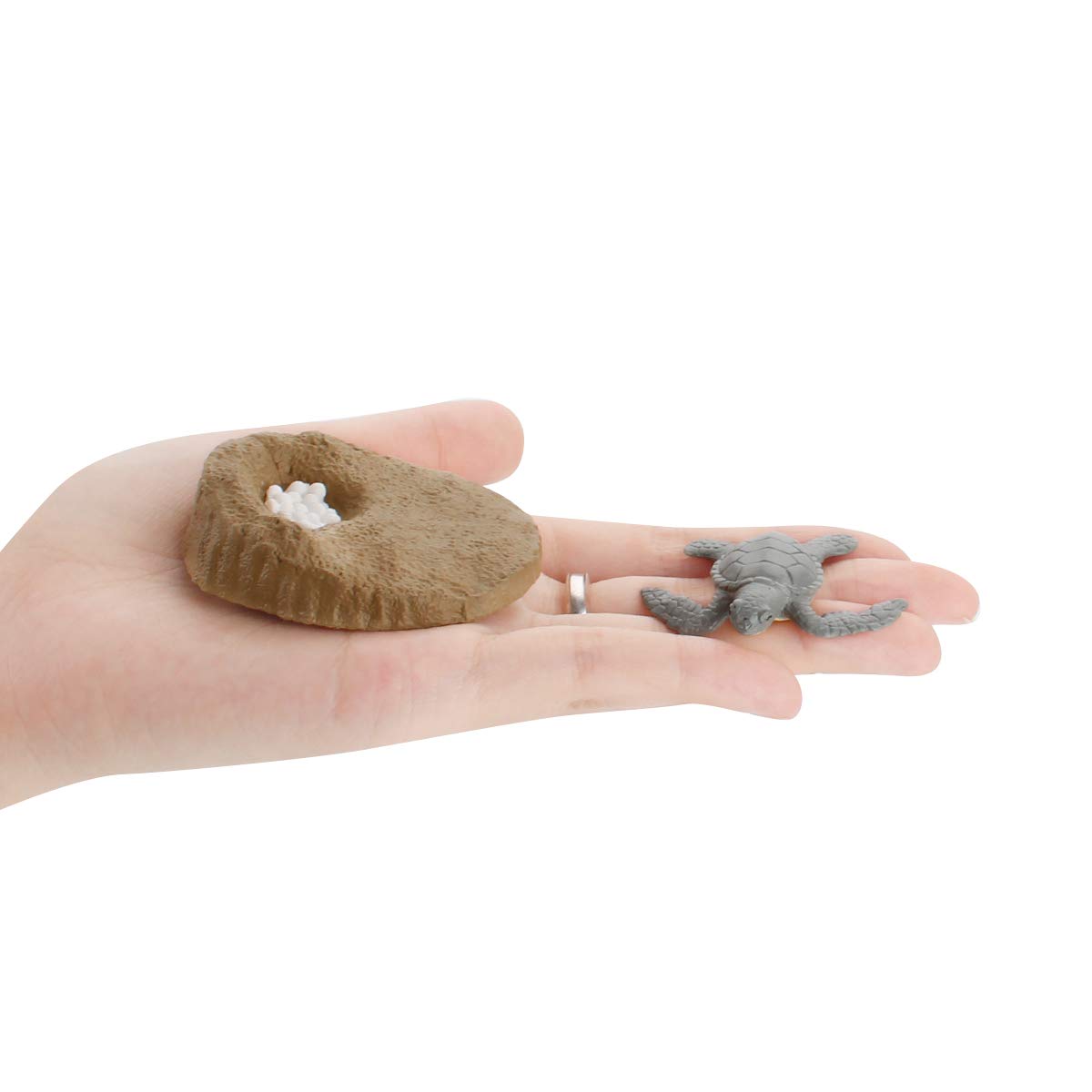 4 Pcs Sea Turtle Ocean Marine Animal Growth Life Cycle Model Figure Classroom Accessories Party Supplies Cake Toppers Learning C