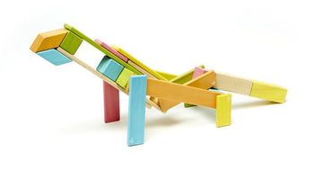 Magnetische Houten Blokkenset - 24 Stuks - Tints