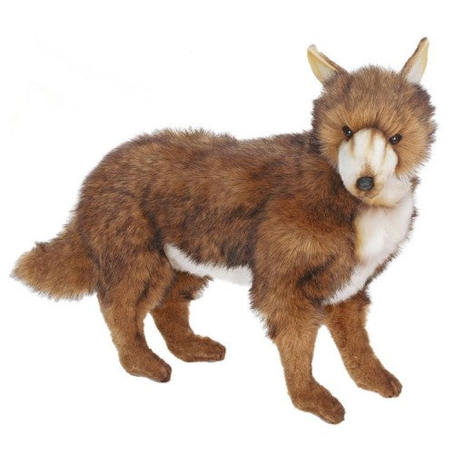 COYOTE mature-themed 20''L