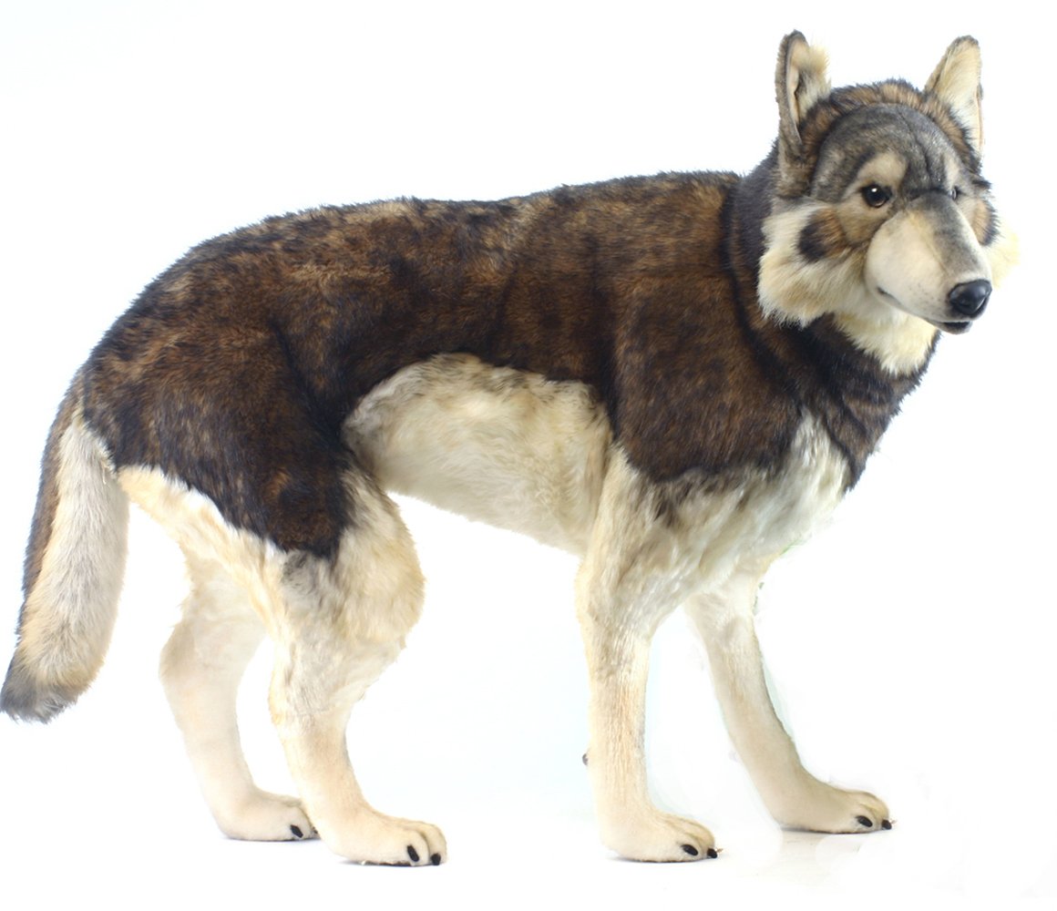 Wolf Timber Standing 40'' L