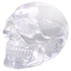 Summit Collection 3 Inch Small Clear Translucent Skull Head Collectible Figurine