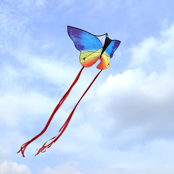 Kaiciuss 2 Pack Butterfly Kites For Kids And Adults Easy To Fly, Large Single Line Beach Kite For Teens, Easy Flying Kite For Boys And Girls