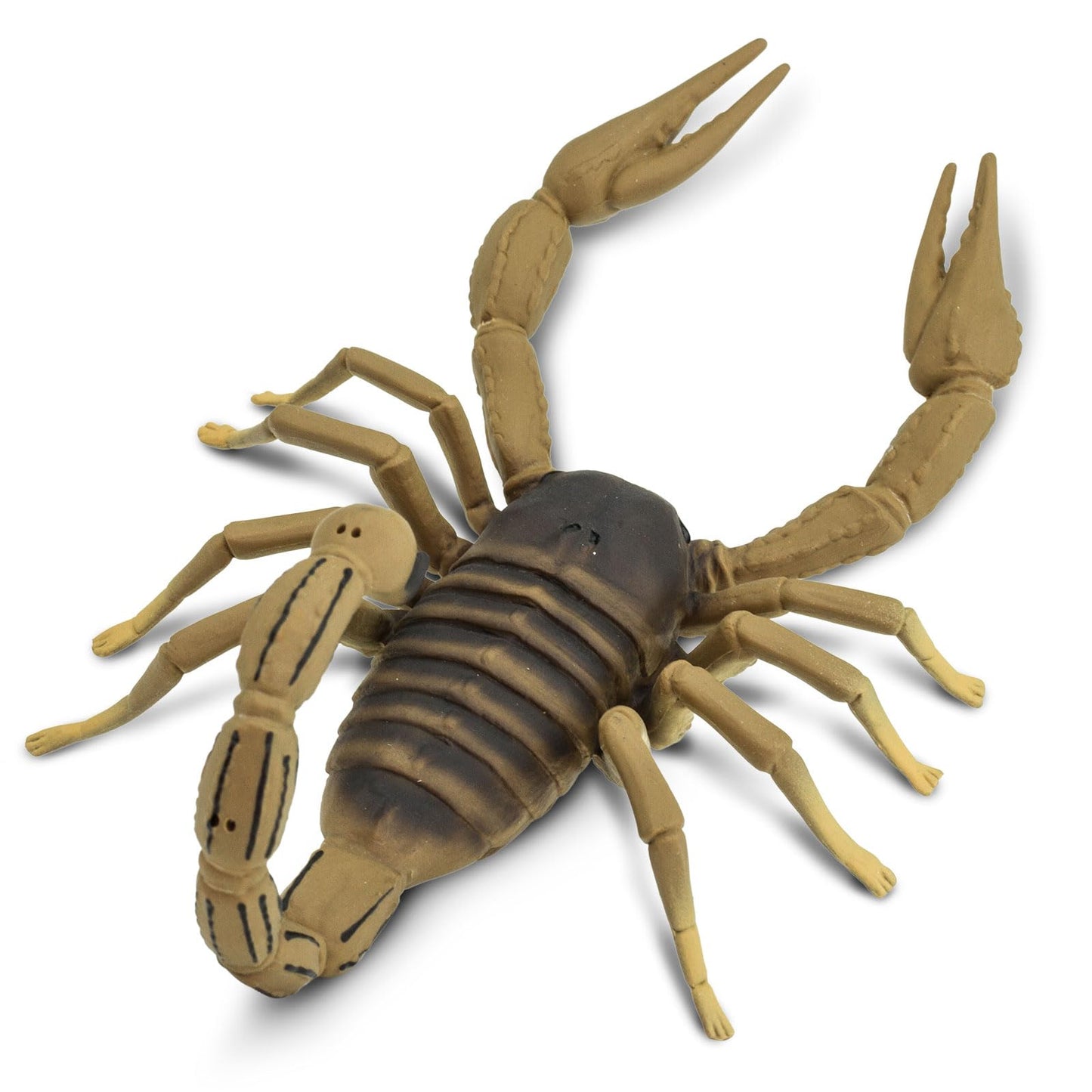 Safari Ltd. Scorpion Figurine - Realistic 7.5" Brown Arachnid Toy for Kids Ages 3+ - Educational Model 100260