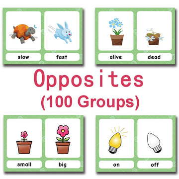 Richardy 100 Groups English Antonyms Flashcards Building Vocabulary Pocket Cards Educational Learning Toys Pre-Kindergarten Clas