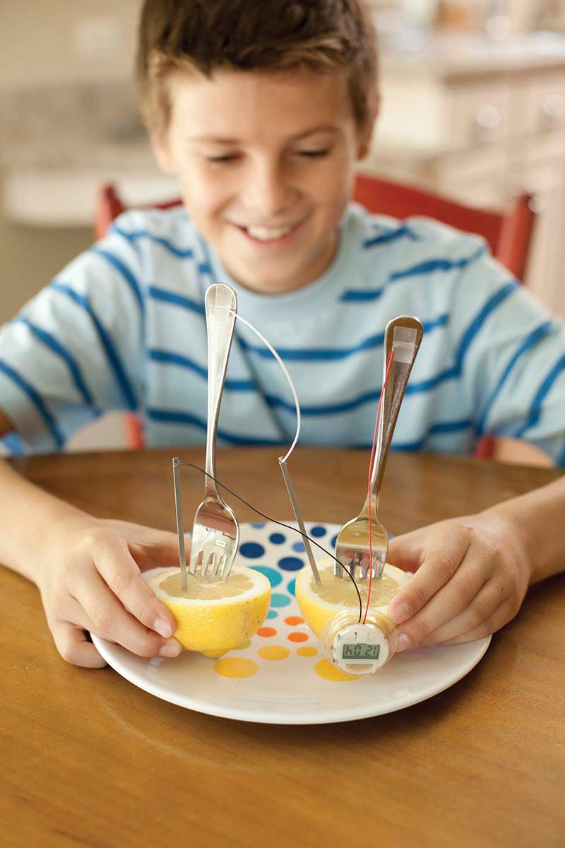 Toysmith 4M Kidzlabs Lemon Powered Clock - STEM Educational Toy, 12 Count, Copper, Model 4464 for Kids & Teens