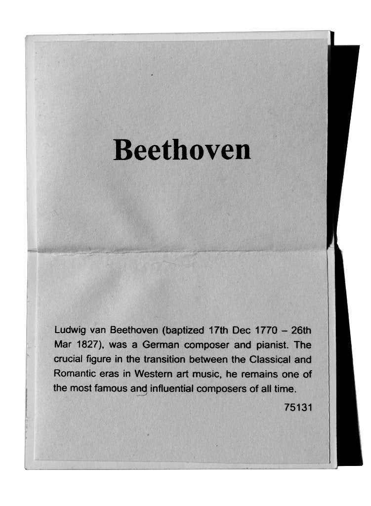 Veronese Design 6 1/2 Inch Ludwig Van Beethoven Bust Cold Cast Resin Bronze Finish Statue Realistic Figurine