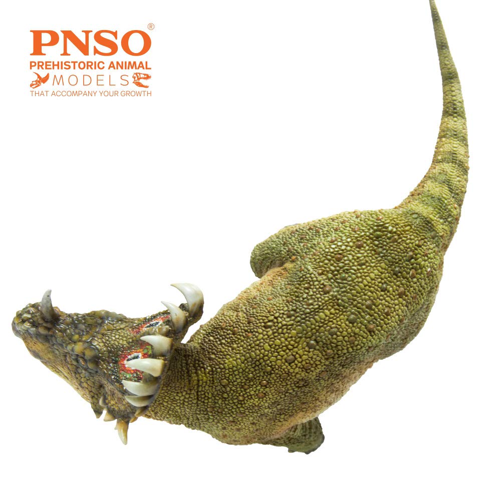 Pnso Prehistoric Dinosaur Models (40 A-Qi The Sinoceratops)