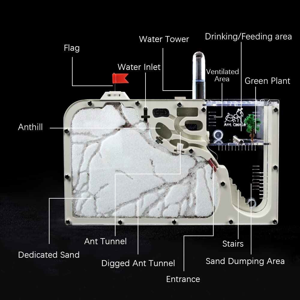 Elnmlht Ant Nest Farm Castle For Live Ants, Ant Colony Observation Kit, Ant Habitat Science Learning Kit For Students Kids Child