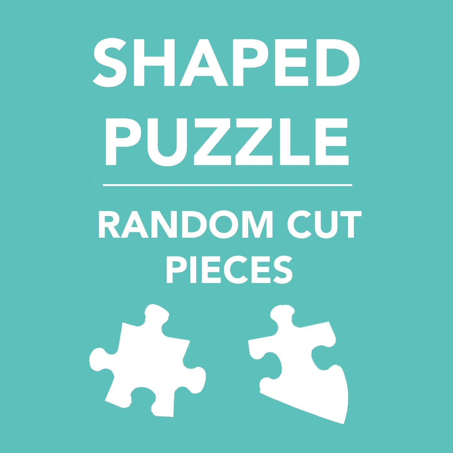 Mudpuppy Bugs & Butterflies 300 Piece Shaped Scene Puzzle Featuring Colorful and Fun Illustrations, Provides Hours of Puzzling F