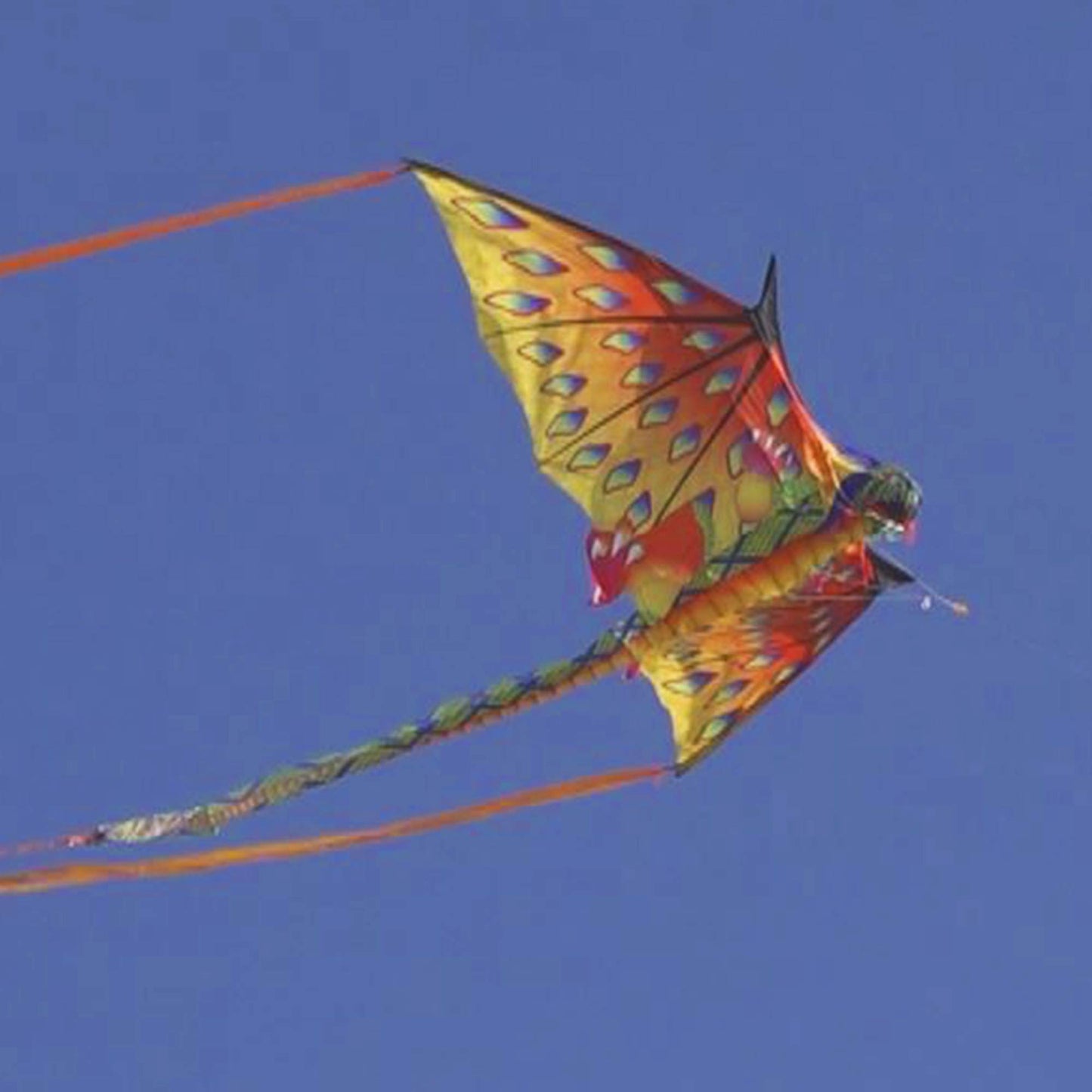 Windnsun Super Size 3D Green Dragon Nylon Kite, 76 Inches Wide