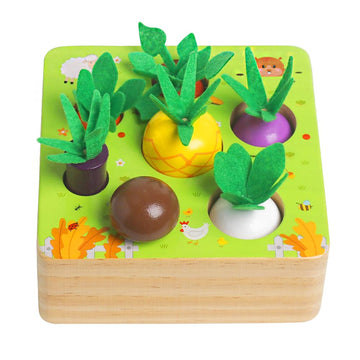 Wooden Montessori Learning Toys For 3+ Years Kids - Toddler Learning Toys With Shape Color Sorting Stacking Toys Wooden Puzzles Easter Basket Stuffers Gift For Toddler Boys Girls