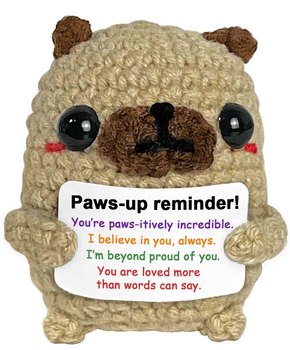 Krinisou Proud of You Crochet Pug Gift, Encouragement Inspirational Graduation Congratulations Gift for Son Daughter from Mom Da