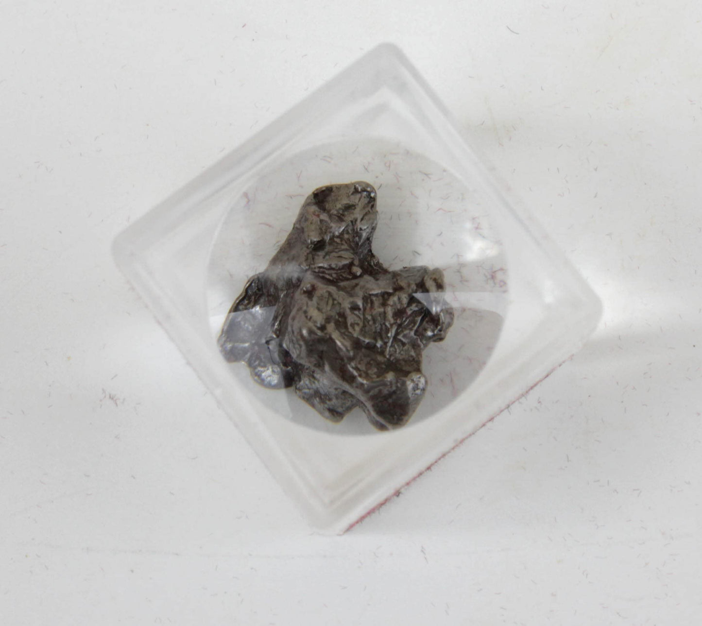 DANCING BEAR Meteorite from Space, 5 pcs Campo del Cielo from Argentina/Educational Card & Magnifying Box