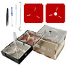 Ants Footsteps Ant Farm Nest Kit - DIY Acrylic Terrarium for Live Ants, Nurturing Room & Water Tower, Size 03