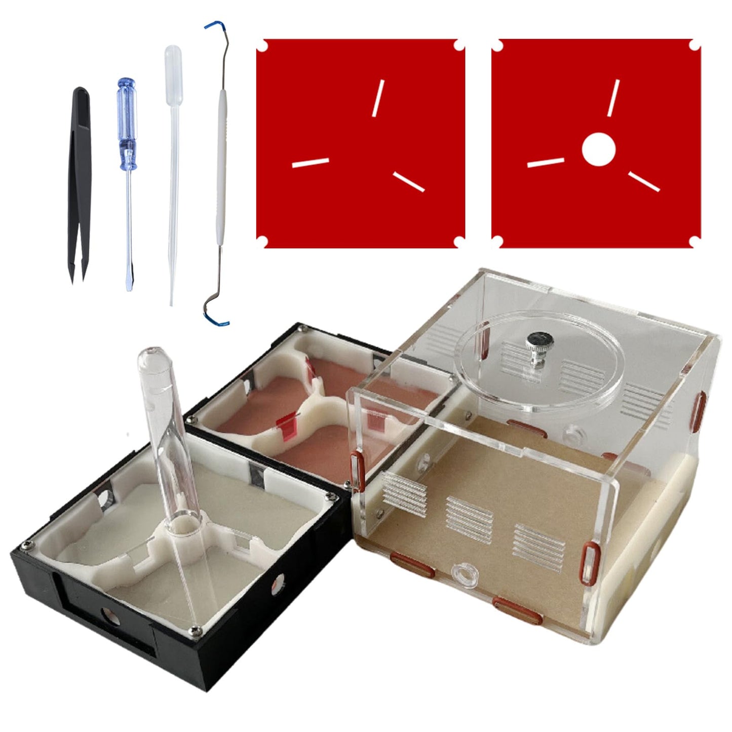 Ants Footsteps Ant Farm Nest Stem Science Learning Kit Diy Terrarium Kit Care For Live Ants Ant Habitat With Water Tower Nurturi