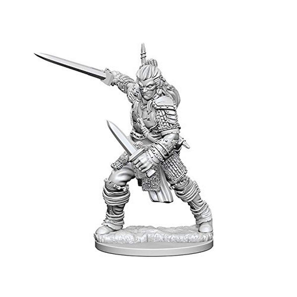 Pf Dc: Human Male Fighter W1