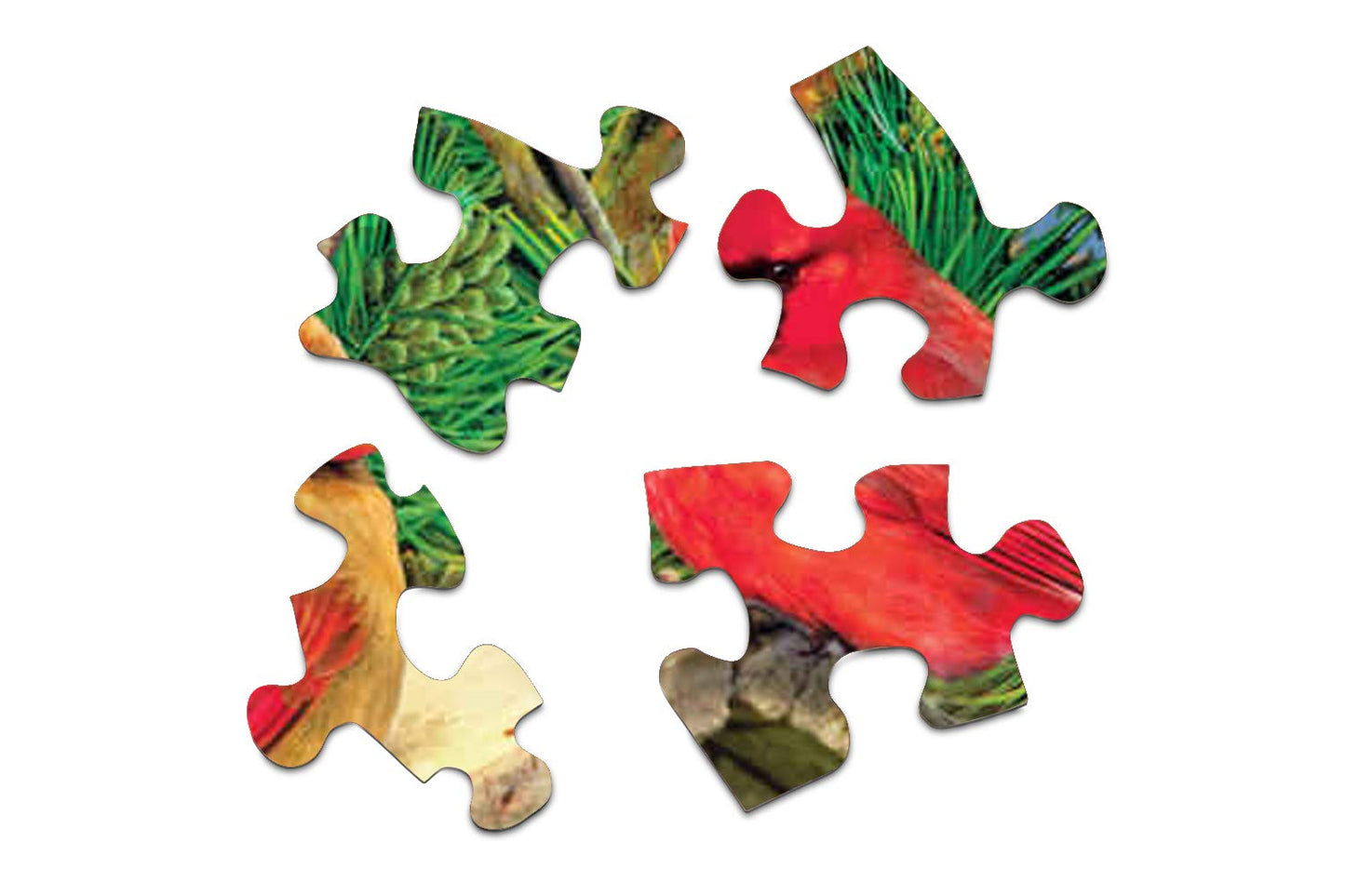 Springbok'S 1000 Piece Jigsaw Puzzle Feathered Retreat - Made In Usa