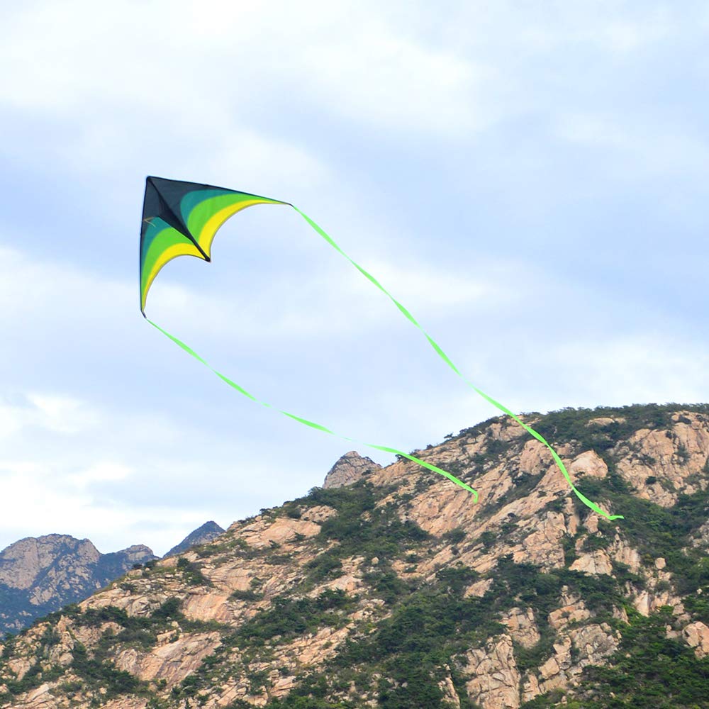 Mint's Colorful Life Delta Kite - Easy to Fly, 300ft String, Large Multi-color, Model 22213902811, Ideal for Kids & Adults