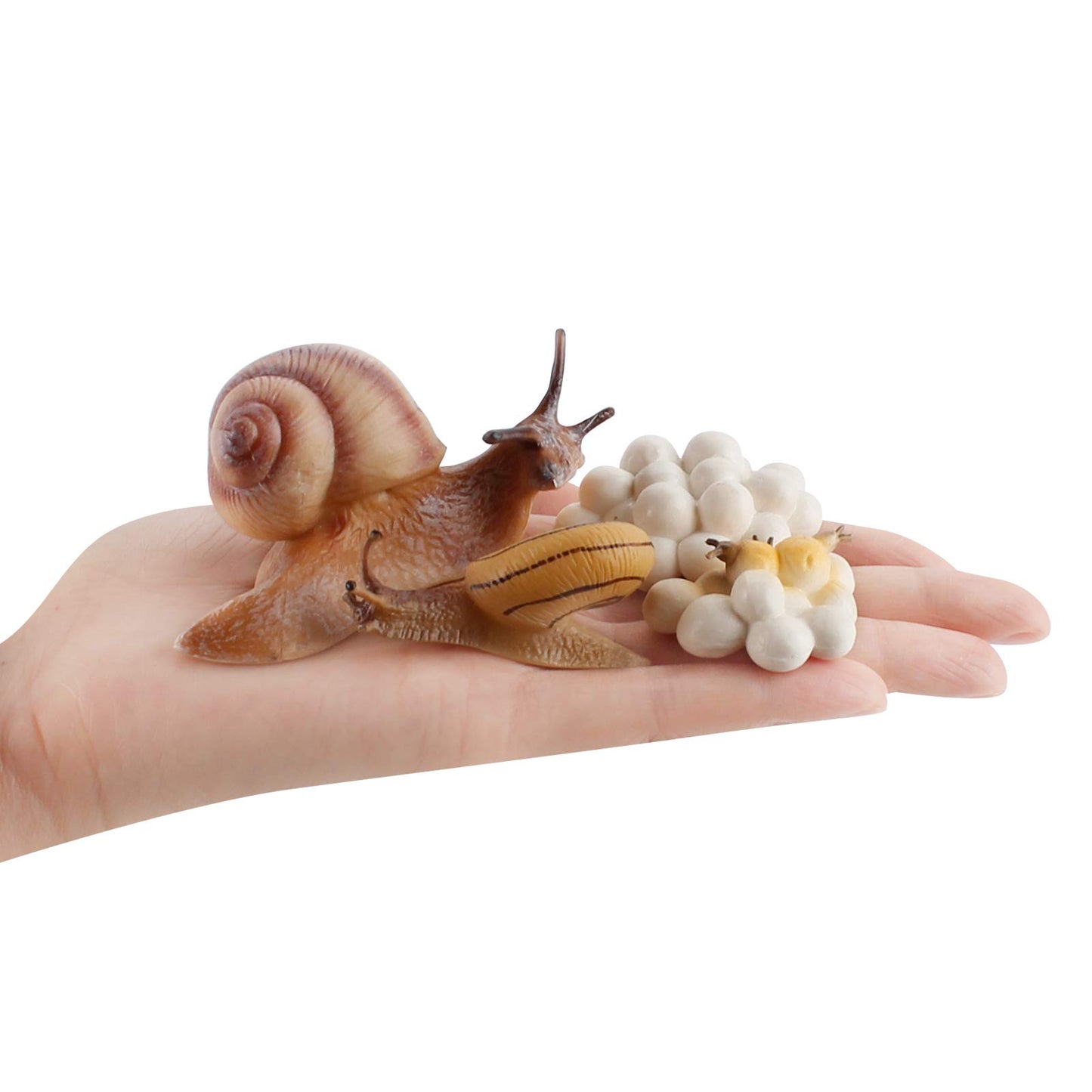4 Pcs Gary Farm Animal Life Cycle Model Figure Snail Figurine Party Favors Supplies Cake Toppers Desktop Decoration Collection Educational Toys For Boys Girls Kid Toddlers