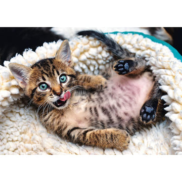 Trefl Cheerful Kitten 1000 Piece Jigsaw Puzzle, 27"x19", Multicolor, Model 10448, Creative Fun for Ages 12+