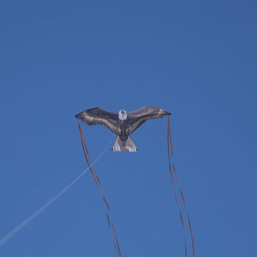 X Kites Birdsofprey® Eagle Nylon Bird Kite, 49 Inches Wide