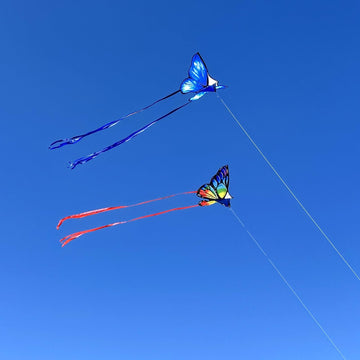 Simxkai 2 Pack Butterfly Kite For Kids & Adults, Easy To Fly Kite For Beginners, Each Kite With 300Ft Line