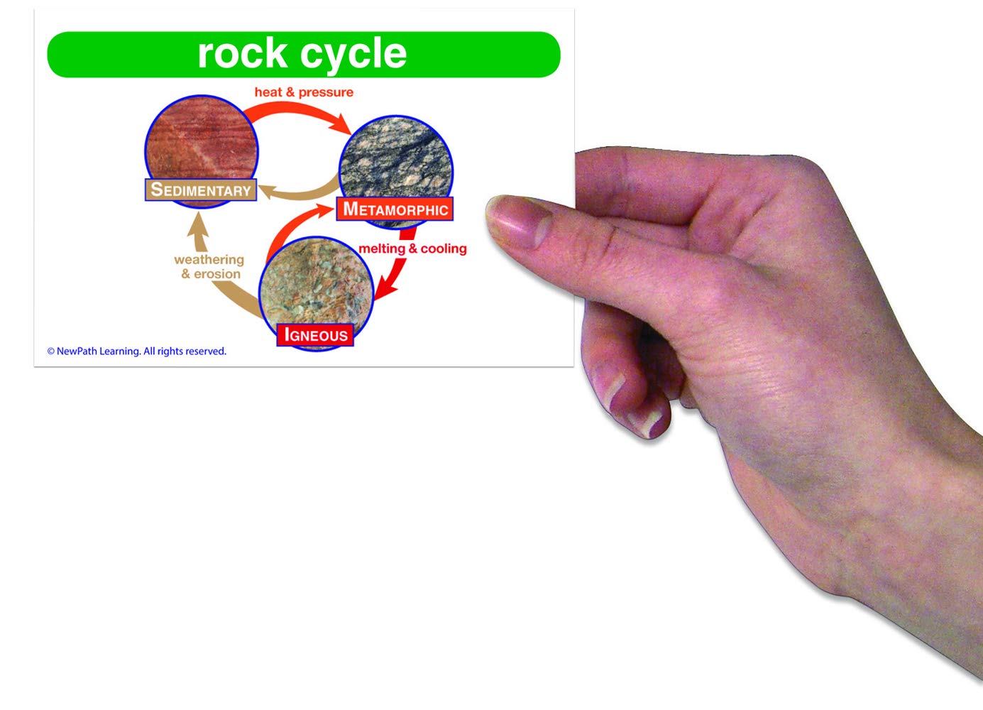 Newpath Learning Science Vocabulary Builder Flash Card Set, Grades 1-2